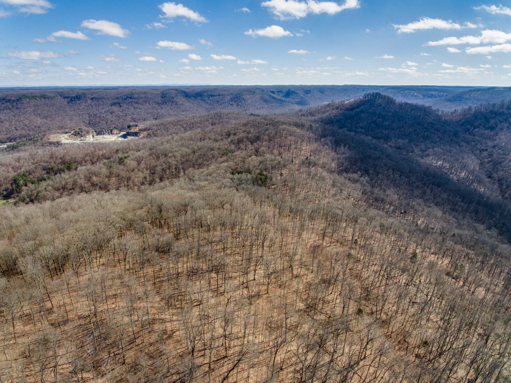 Bob Upchurch Road Pall Mall, TN 38577 - Photo 9 of 14 Aerials-8
