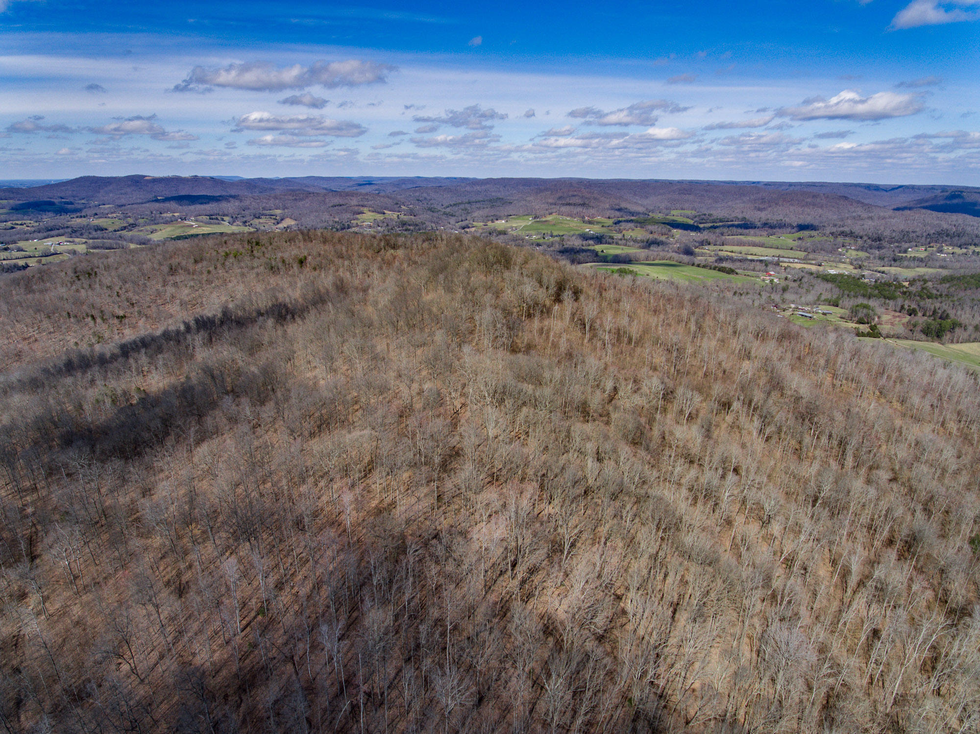Bob Upchurch Road Pall Mall, TN 38577 - Photo 10 of 14 Aerials-9