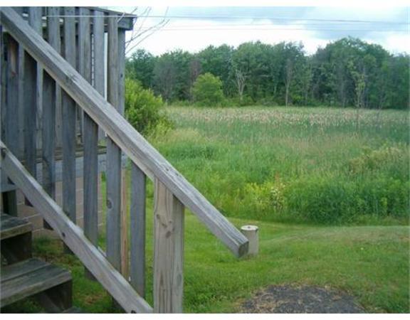 691 Amherst Road Sunderland, MA 01375 - Photo 3 of 9 a view of a lush green forest