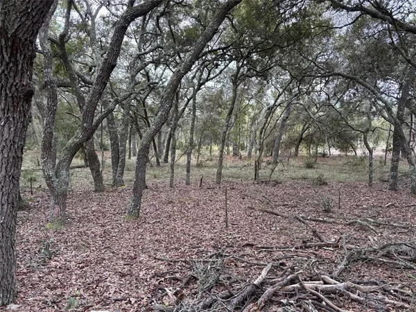 $24,900 | Southeast 63rd Lane, Morriston, FL 32668
