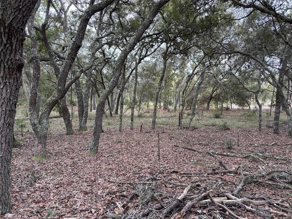 Southeast 63rd Lane Morriston, FL 32668 - Photo 2 of 2 a view of house with trees all around