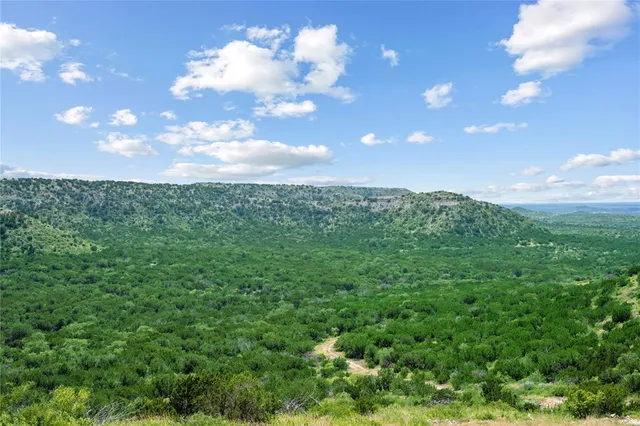 a view of a city with lush green forest