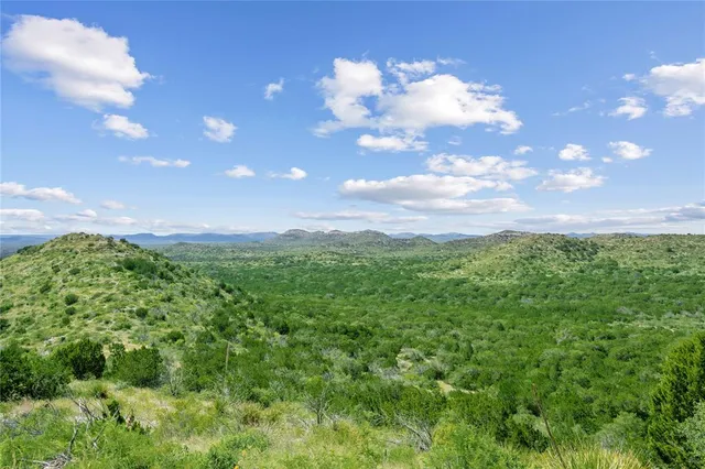 a view of a big yard with lots of green space