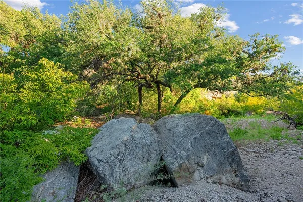 a view of a big yard with lots of green space