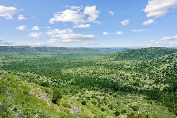 a view of a big yard with large trees
