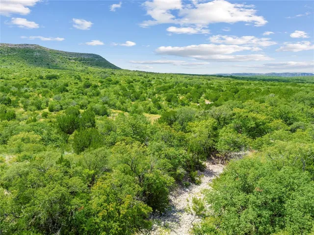 a view of a big yard with an tree and a outdoor space