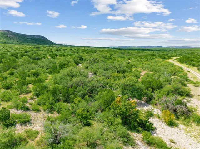 a view of a garden with a building in the background