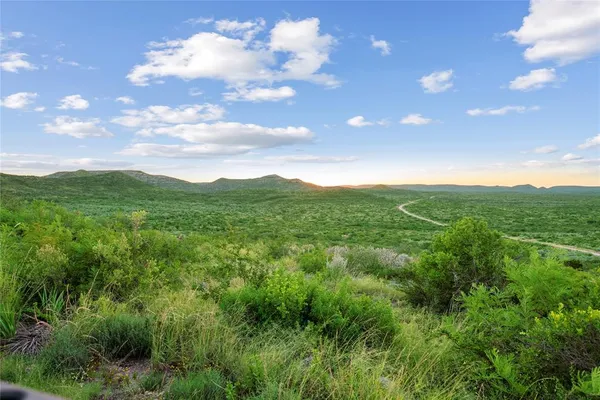 a view of a city with lush green forest