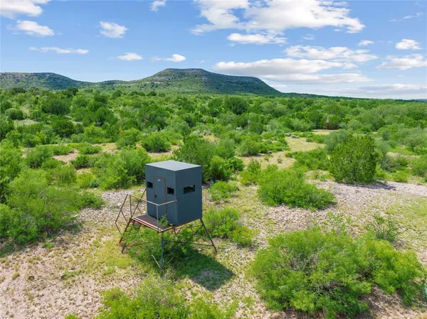 a view of a bunch of trees