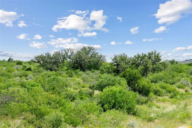 a view of a big yard with swimming pool and green space