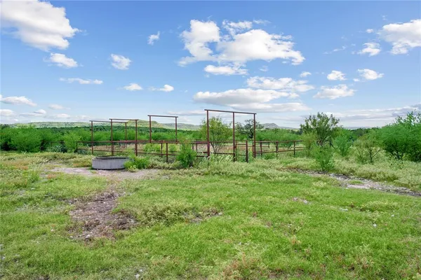 a view of a bunch of trees