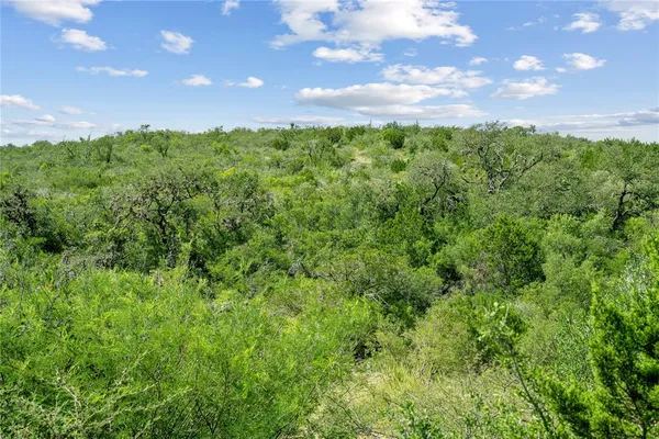 a view of a big yard with lots of green space and plants