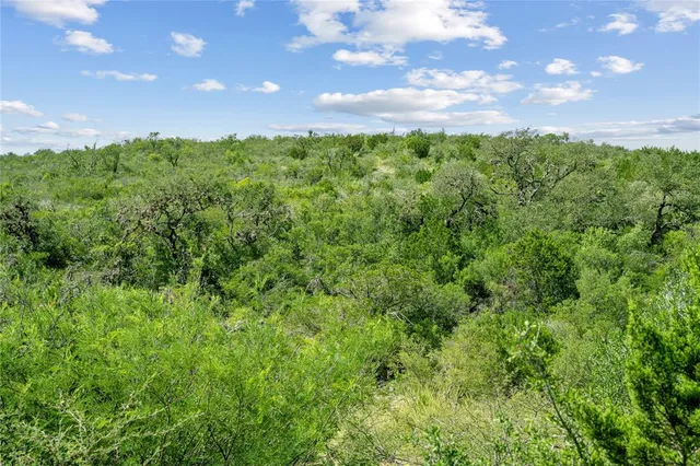 a view of a big yard with lots of green space and plants