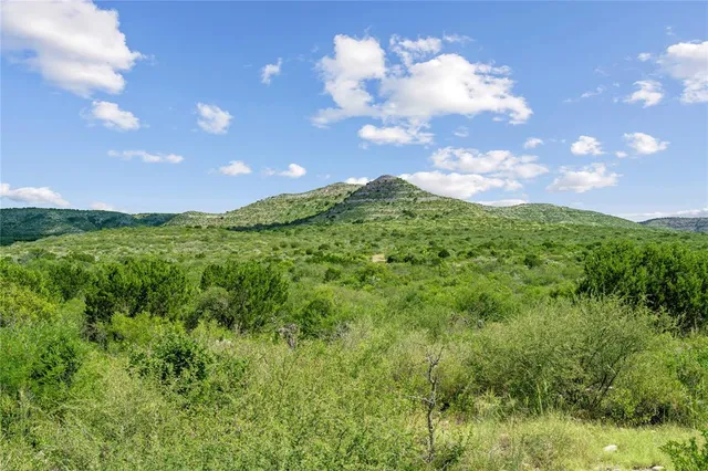 a view of a big yard with lots of green space