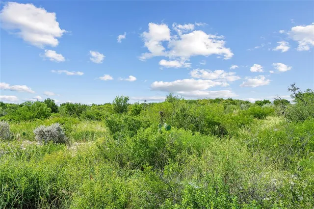 a view of a big yard with swimming pool and outdoor space