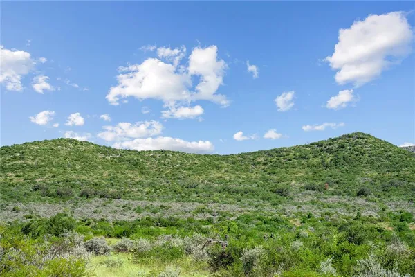 a view of a flower in a garden