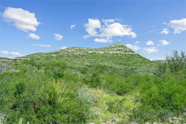 a view of a green yard