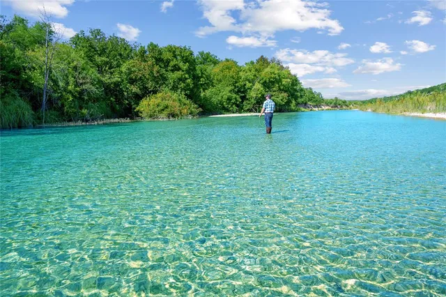 a view of a bunch of plants