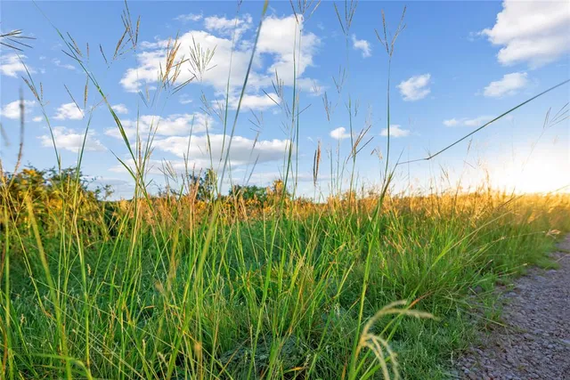 a view of a green field