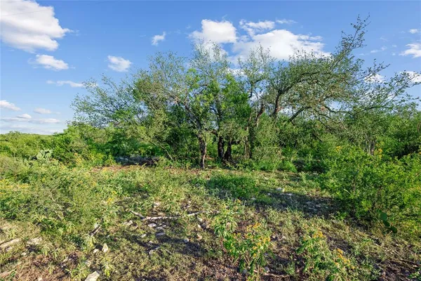 a view of a bunch of trees