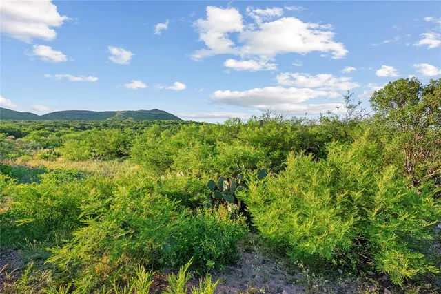 an aerial view of a houses with a tree