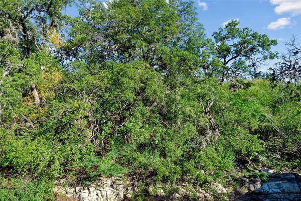 a view of a bunch of trees in a field