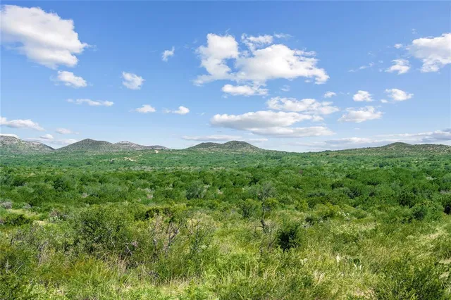 a view of a big yard with lots of green space and mountain view