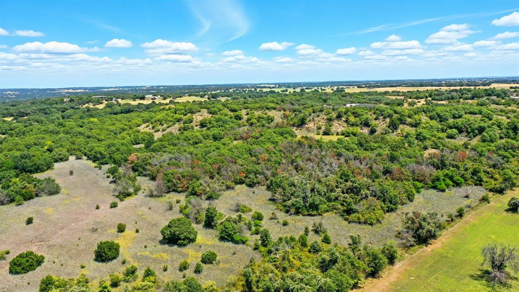 395 Pepper Lane Weatherford, TX 76088 - Photo 6 of 24 Aerial view