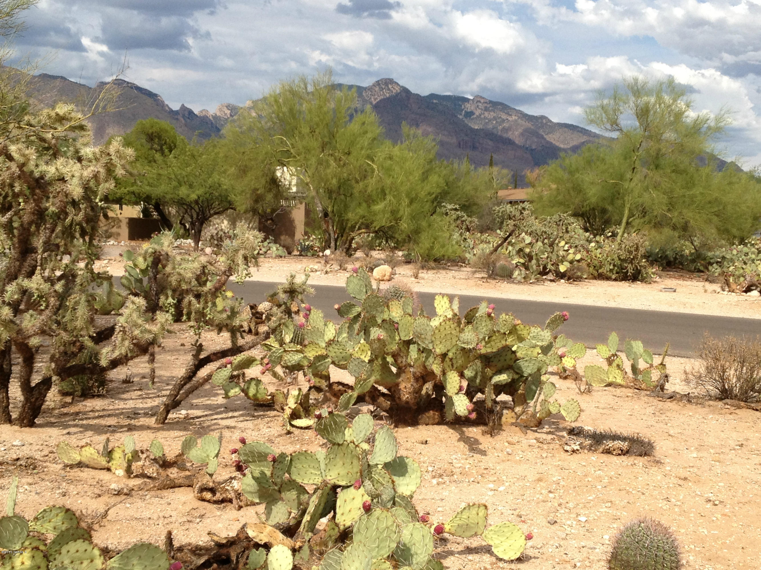 1200 West Chula Vista Road, Unit 82 Tucson, AZ 85704 - Photo 2 of 4