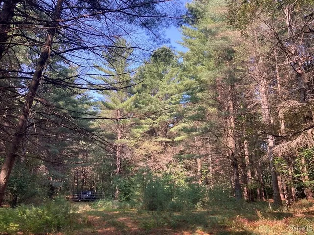 $149,900 | 5753 Van Arnam Road, Greig, NY 13345