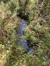 $149,900 | 5753 Van Arnam Road, Greig, NY 13345