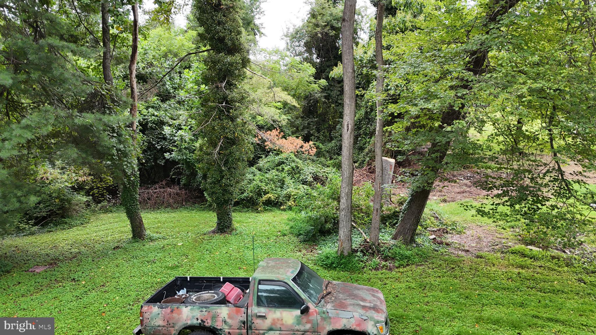 1405 Pomeroy Avenue Abingdon, MD 21009 - Photo 48 of 60 a view of yard with trees