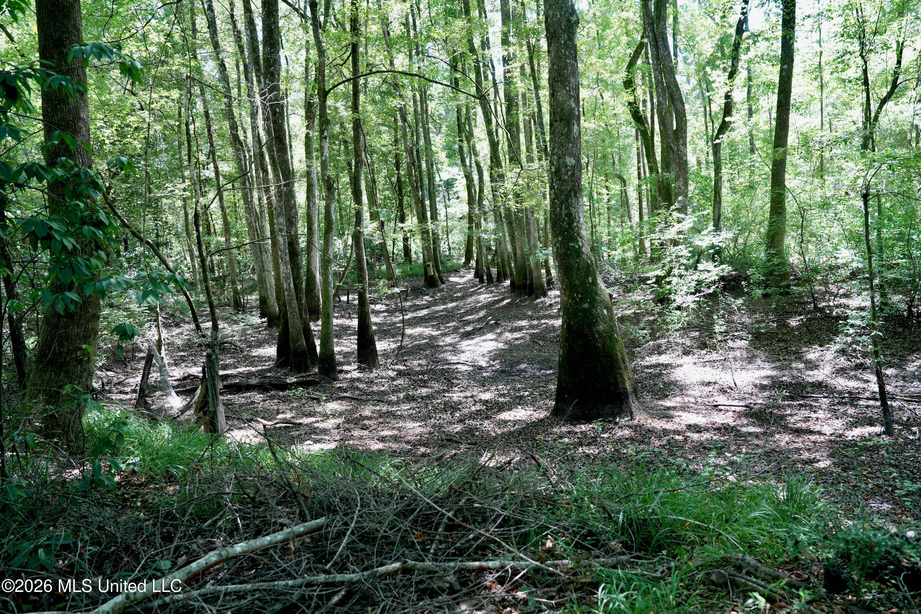 Xxxx Hamp Lea Road Magnolia, MS 39652 - Photo 21 of 48 DSC04166