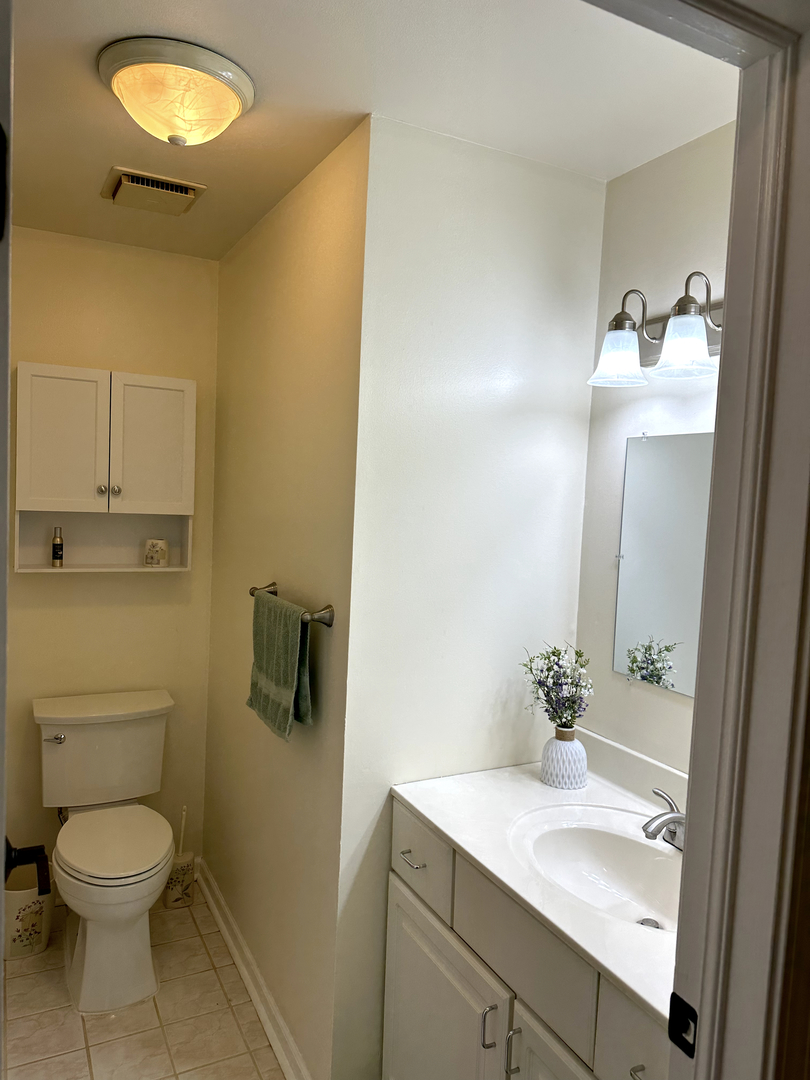 5155 North East River Road, Unit 116E Chicago, IL 60656 - Photo 9 of 10 a bathroom with a sink and a mirror