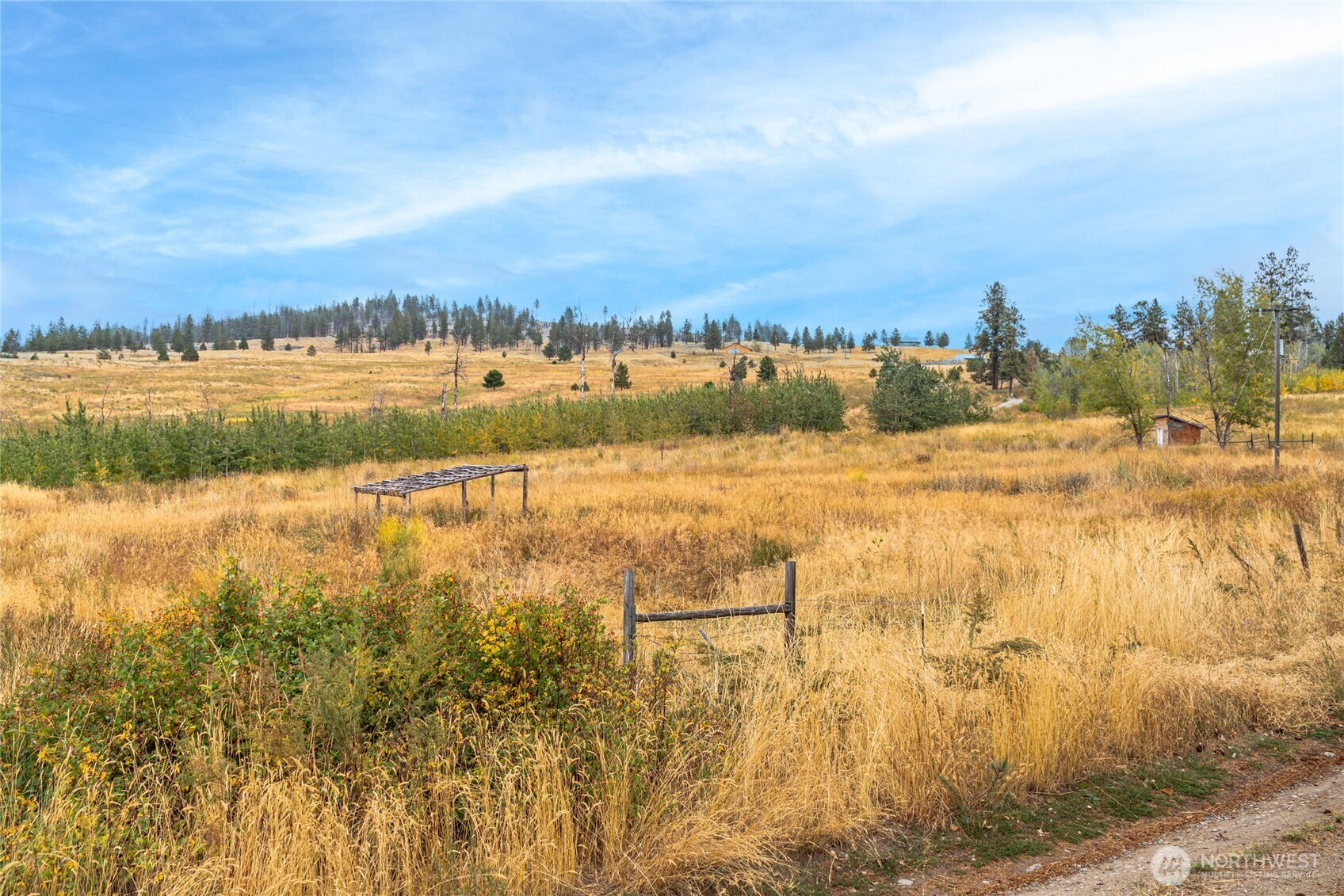 154 Knox Road Riverside, WA 98849 - Photo 2 of 38
