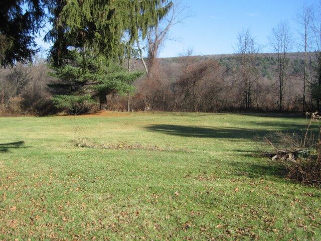 275 State Road Great Barrington, MA 01230 - Photo 12 of 12 Back Yard