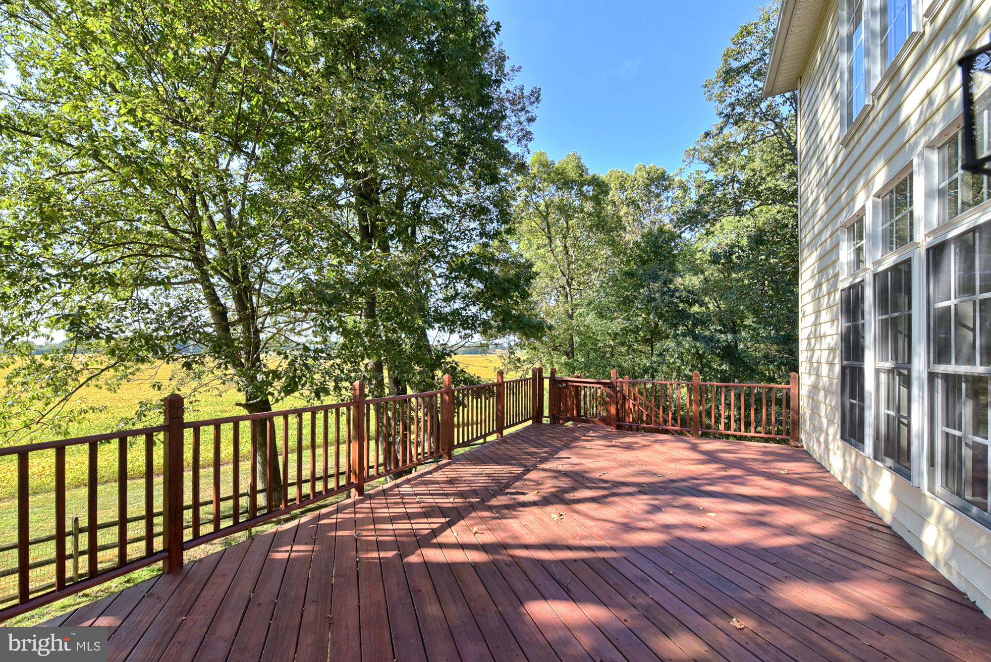 21416 Peach Tree Road Dickerson, MD 20842 - Photo 16 of 76 Unbelievable wide and long deck.......