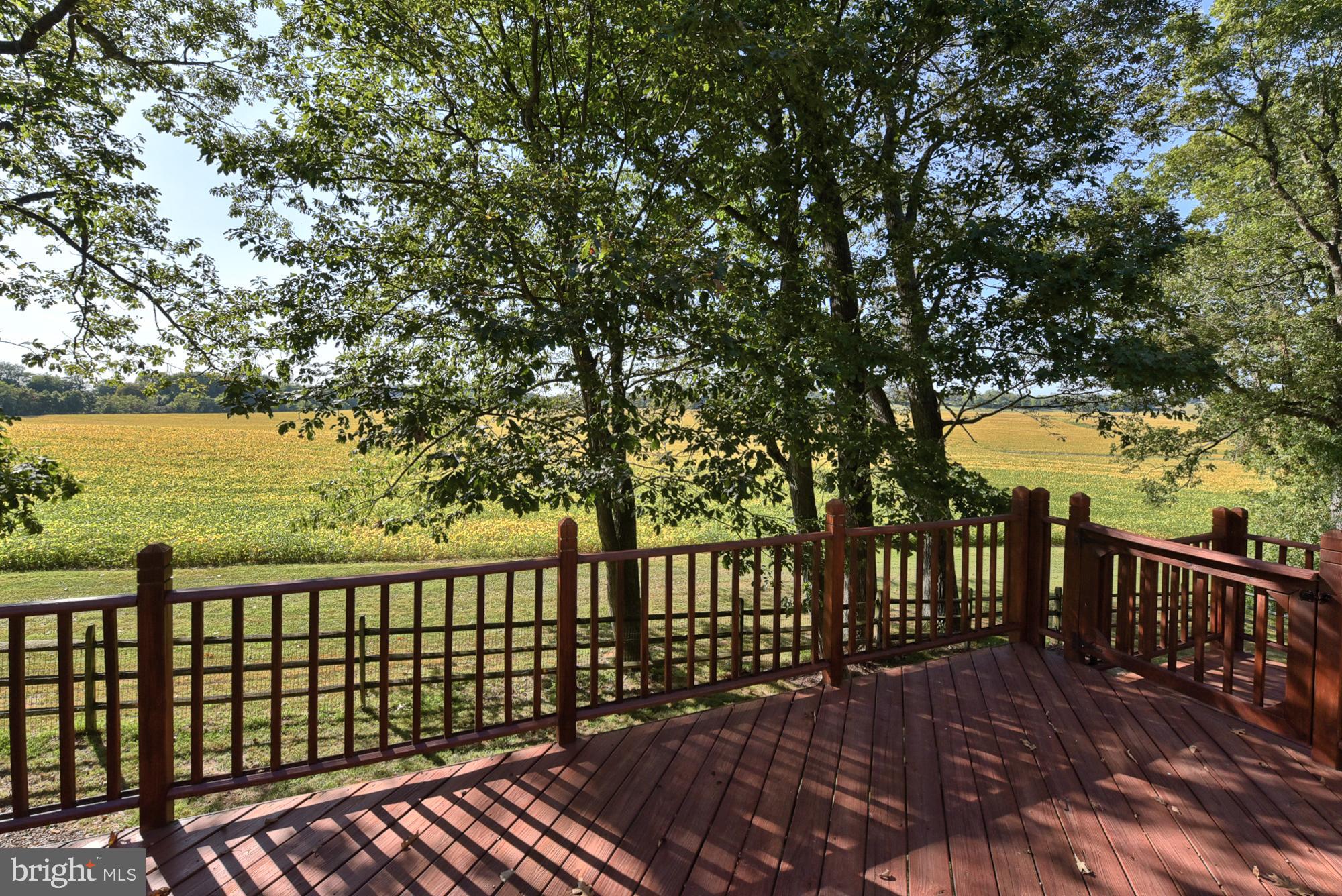 21416 Peach Tree Road Dickerson, MD 20842 - Photo 17 of 76 .....with incredible views!