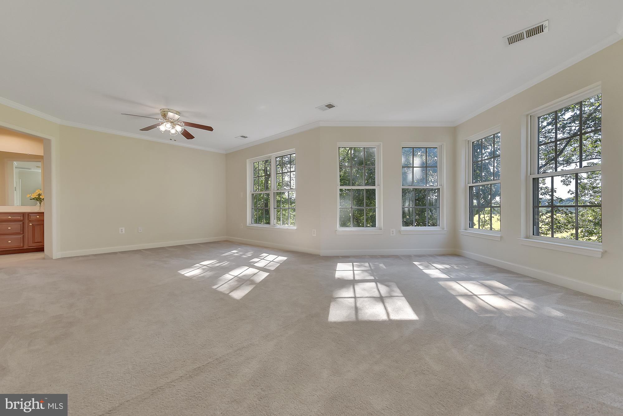 21416 Peach Tree Road Dickerson, MD 20842 - Photo 46 of 76 Amazing owner's suite with three sides of views!