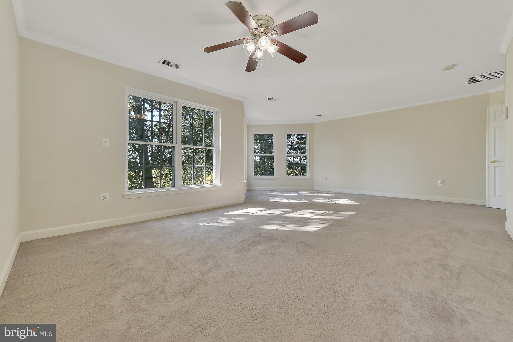 21416 Peach Tree Road Dickerson, MD 20842 - Photo 47 of 76 Be prepared to never want to leave this room!