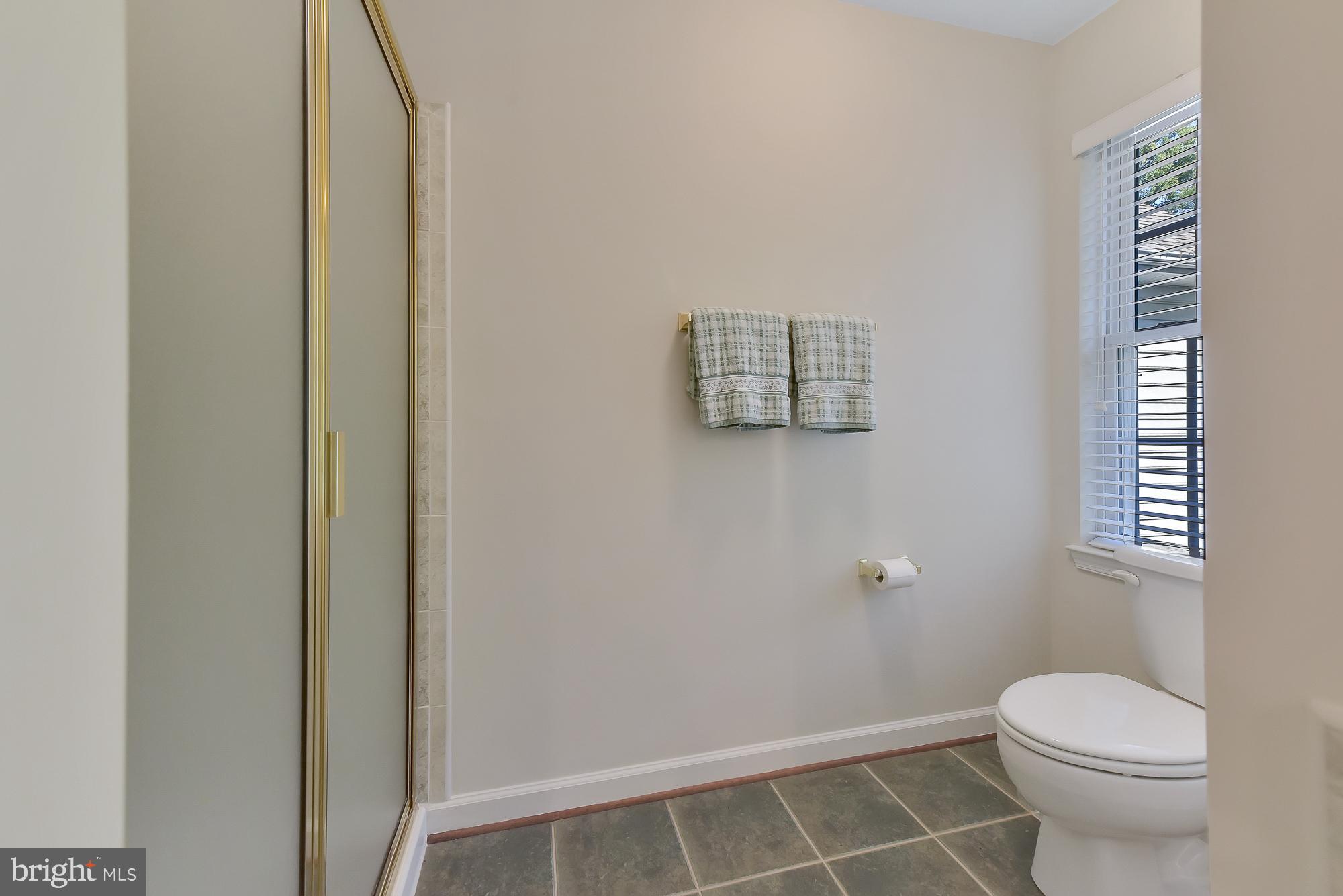 21416 Peach Tree Road Dickerson, MD 20842 - Photo 52 of 76 Owner's suite bath