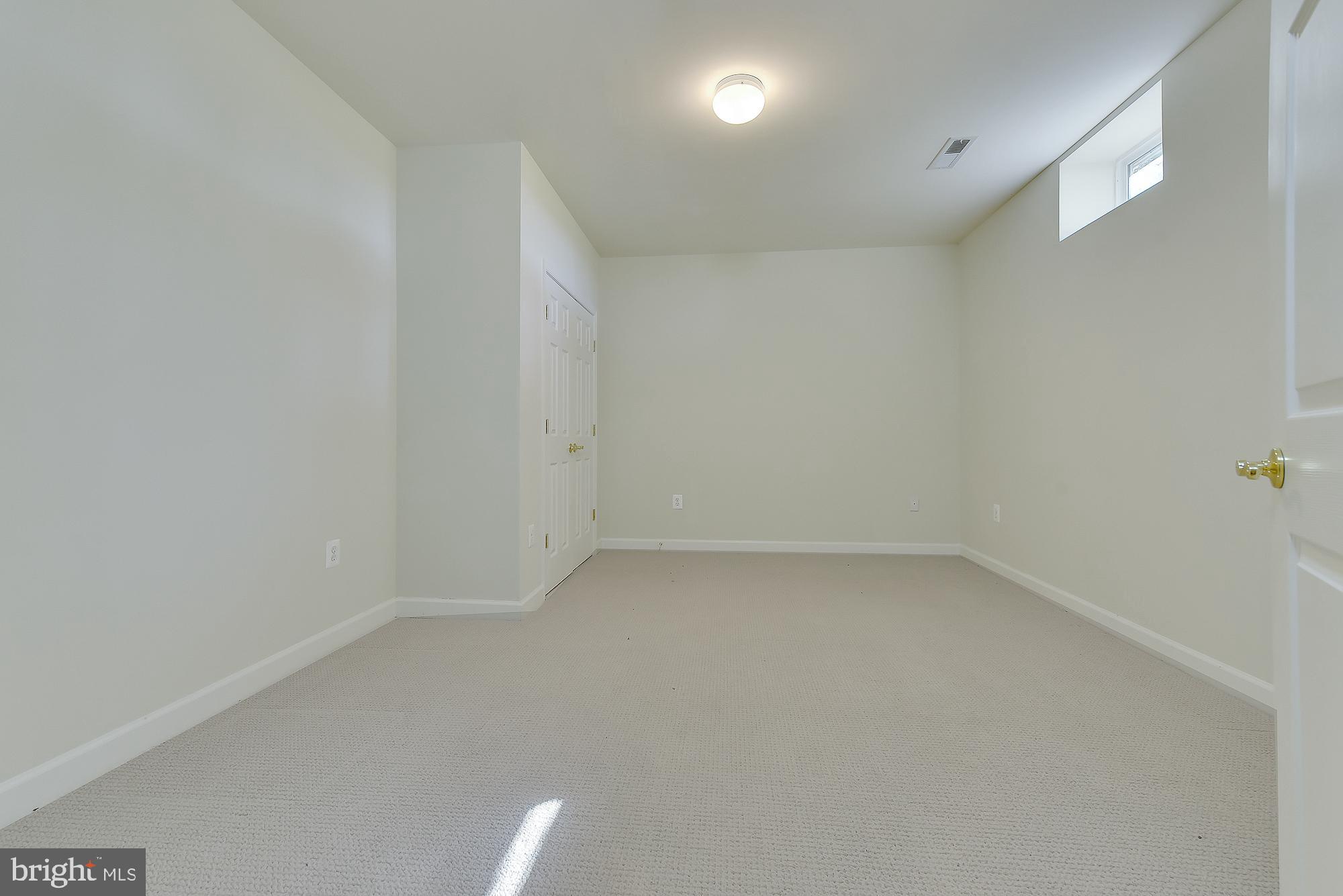 21416 Peach Tree Road Dickerson, MD 20842 - Photo 64 of 76 More people storage downstairs!