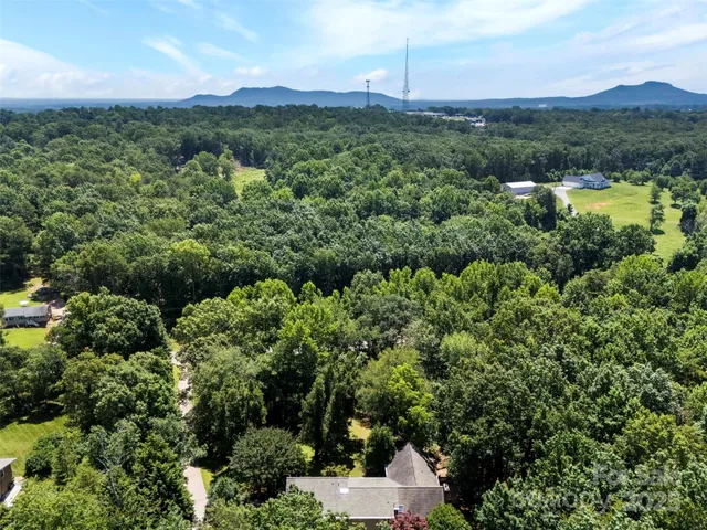 a view of a lush green field with lots of bushes