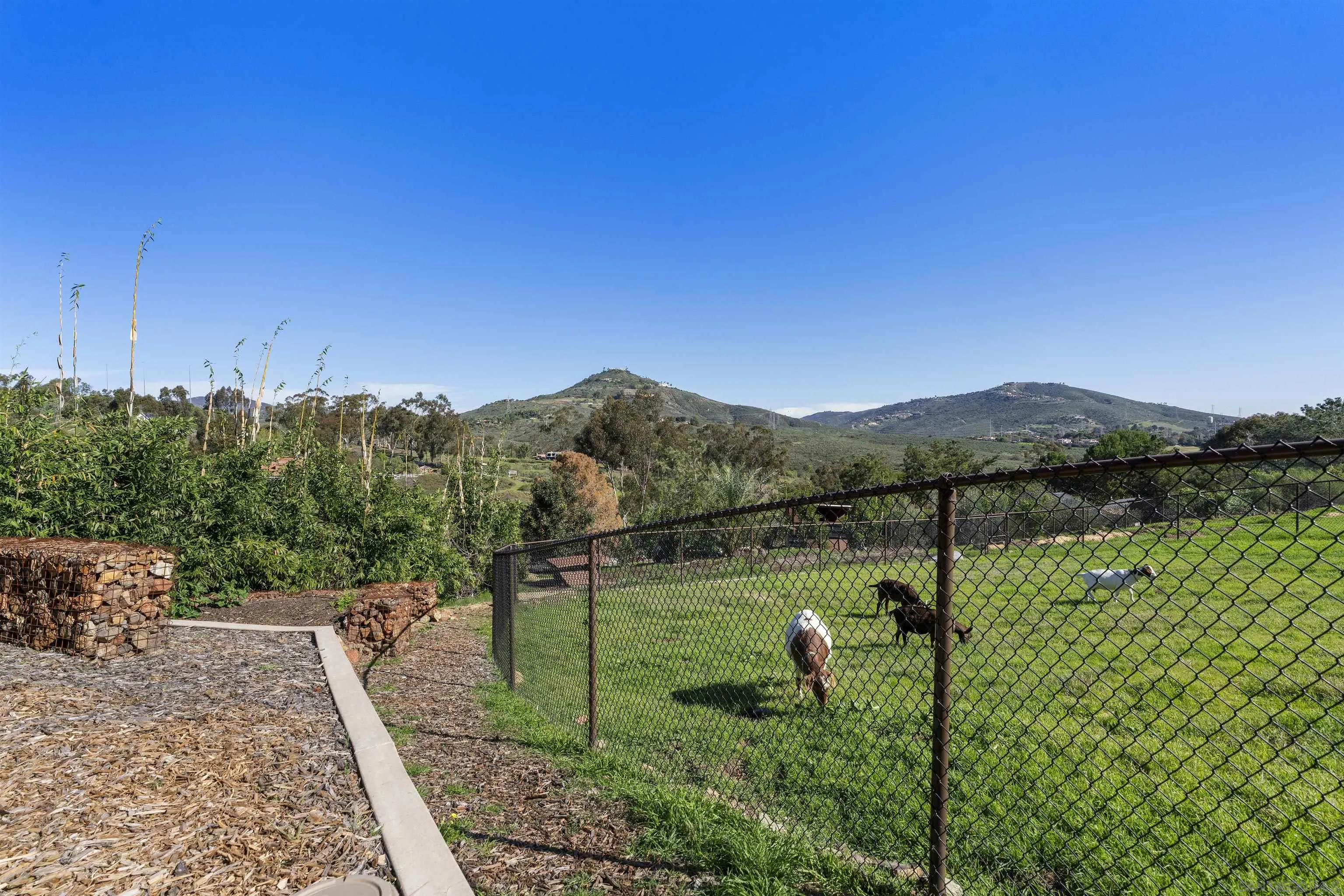 3605 1/2 Fortuna Ranch Road Encinitas, CA 92024 - Photo 10 of 47