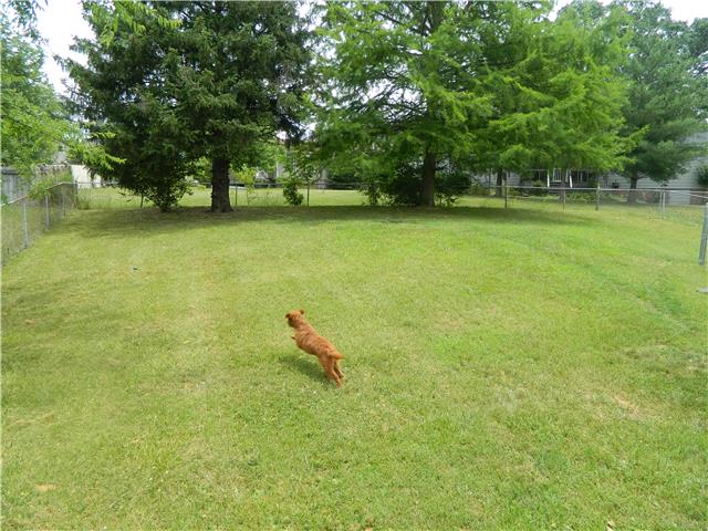 3277 Anderson Road Antioch, TN 37013 - Photo 4 of 18