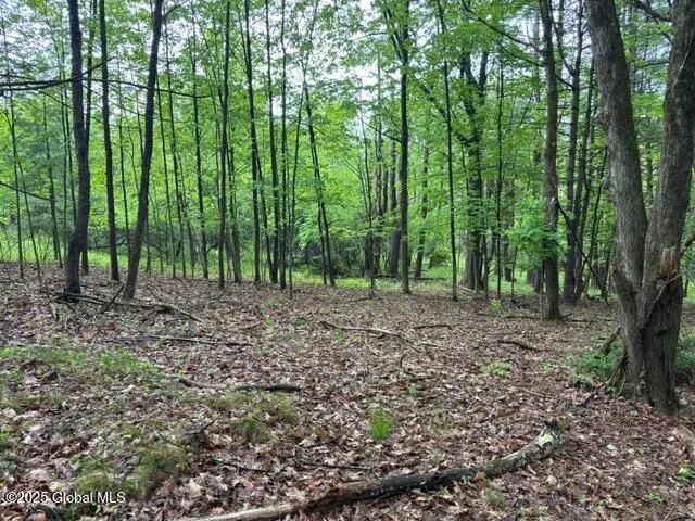 $89,900 | 52 Totem Lodge Road, Averill Park, NY 12018