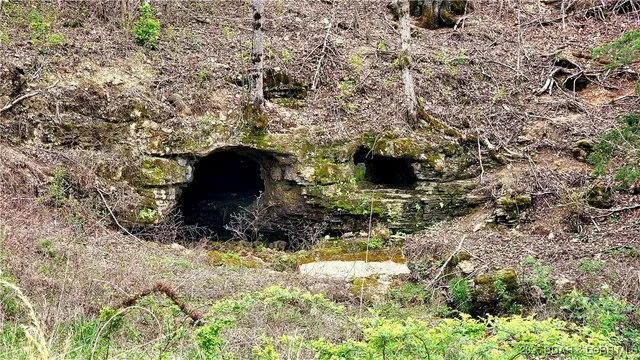 $1,550,000 | 25455 Rail Road, Richland, MO 65556