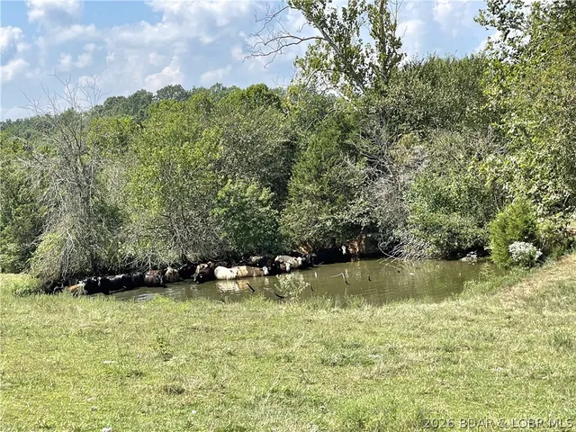 $1,399,999 | 25455 Rail Road, Richland, MO 65556