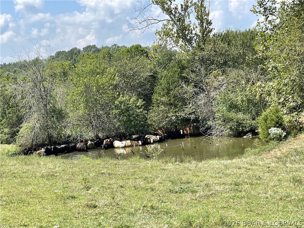 25455 Rail Road Richland, MO 65556 - Photo 51 of 62