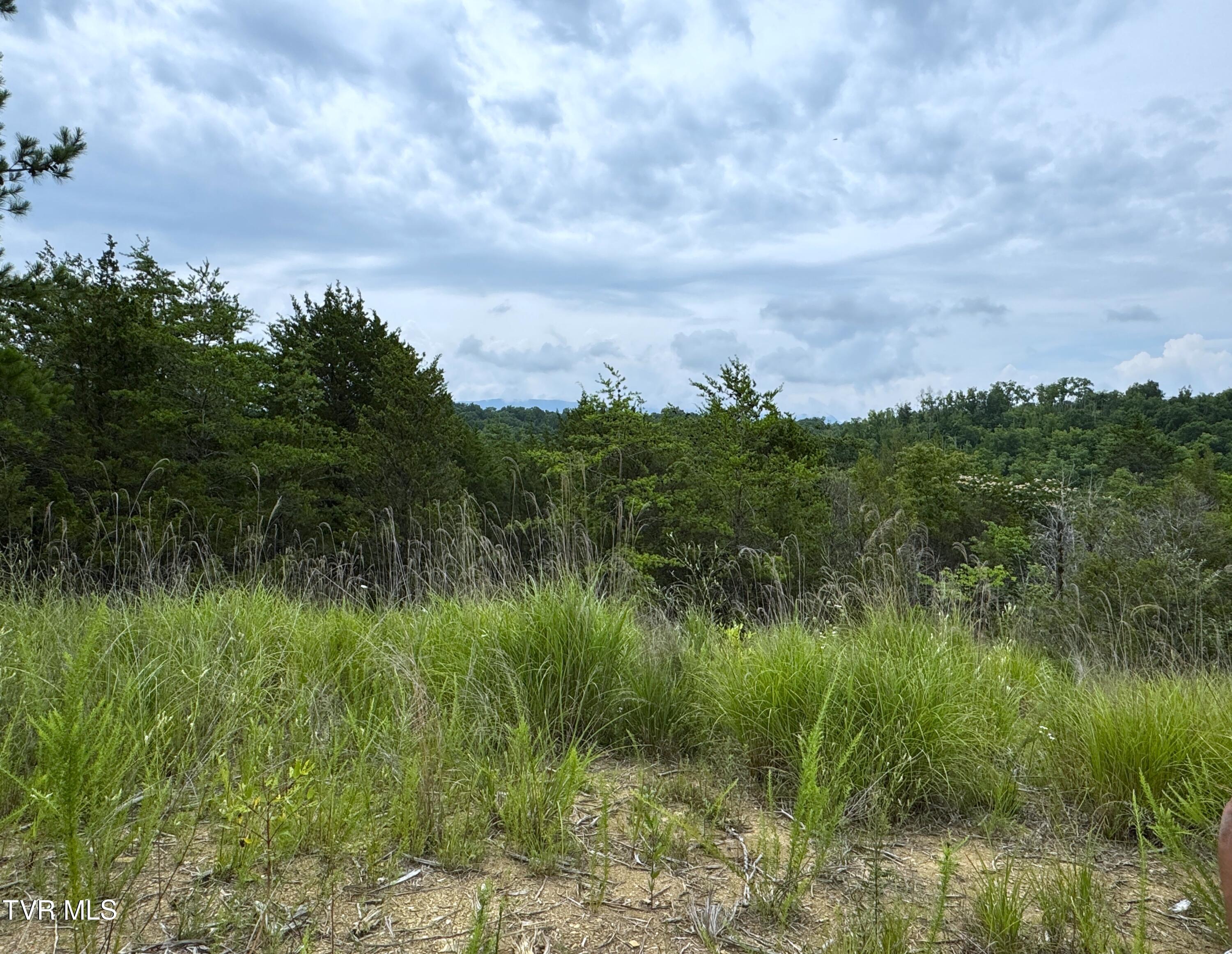 5-acres Jim Henry Road Dandridge, TN 37725 - Photo 11 of 26 10